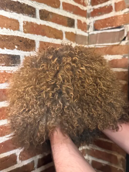 Goat fur papakha held in a hand against a brick wall, showing the curly fur